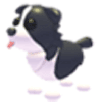 Border Collie  - Rare from Spring Fest 2023 (Robux)